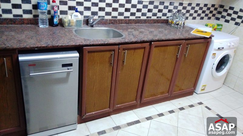 Apartment with Terrace for Rent in Zamalek Apartment with Terrace for Rent in Zamalek