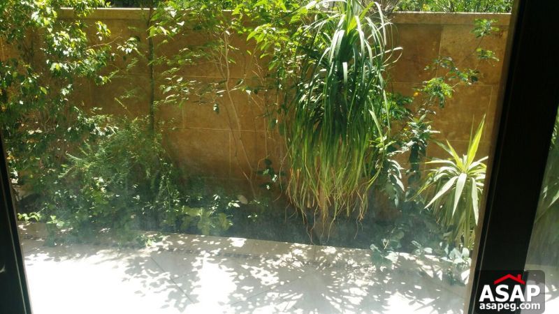 Villa with Swimming pool for Rent in Maadi Villa with Swimming pool for Rent in Maadi