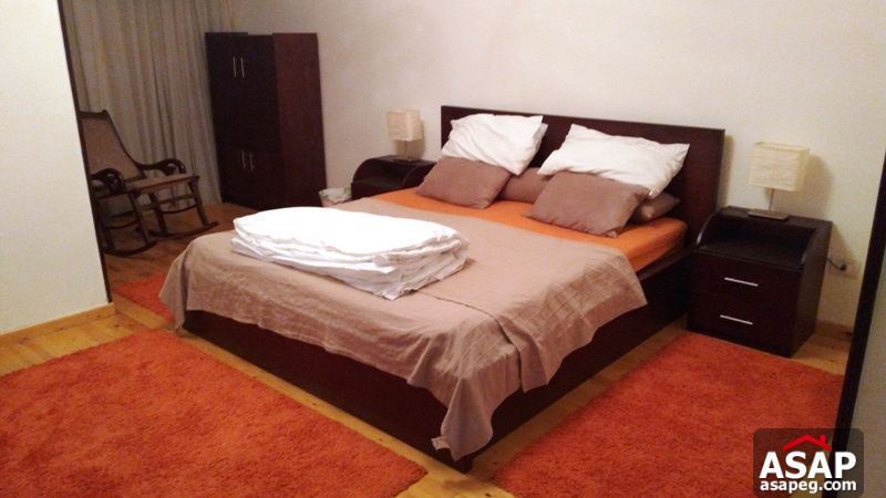 Apartment for Rent in Zamalek