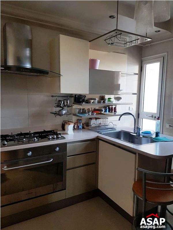 Apartment with Nile View for Sale in Zamalek Apartment with Nile View for Sale in Zamalek