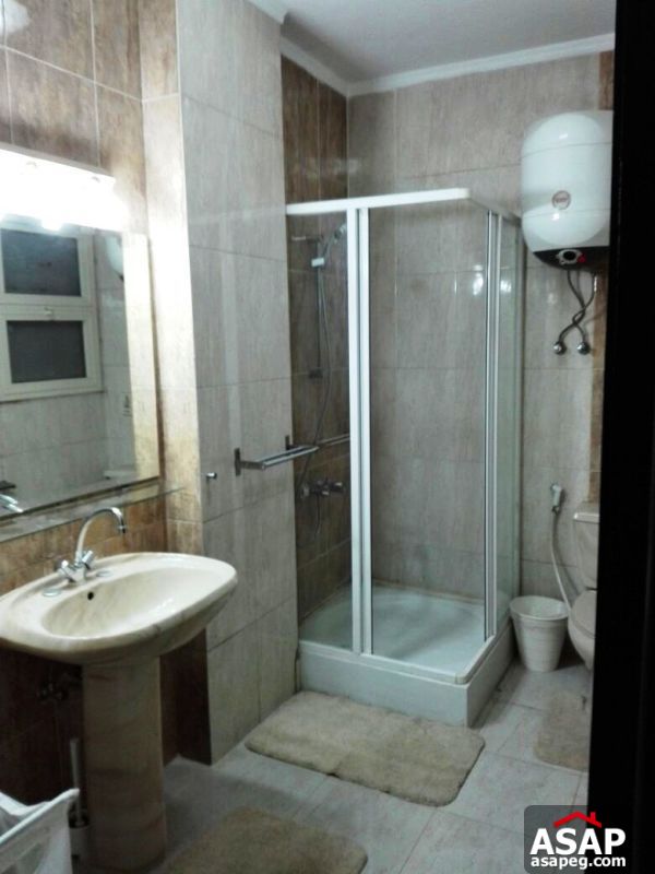 Furnished Apartment for rent in Mohandiseen Furnished Apartment for rent in Mohandiseen