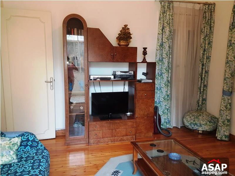 Apartment with Big Terrace for Rent in Zamalek Apartment with Big Terrace for Rent in Zamalek