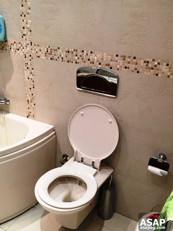 Duplex with Big Garden in Lake View for Rent Duplex with Big Garden in Lake View for Rent