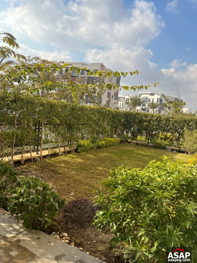 Apartment for Rent in Eastown Apartment for Rent in Eastown