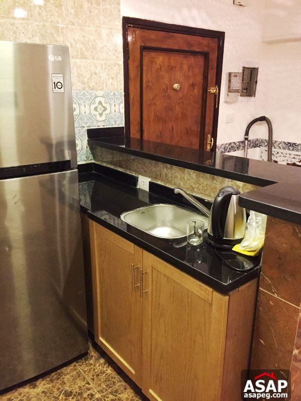 Furnished Apartment with Balcony in Zamalek