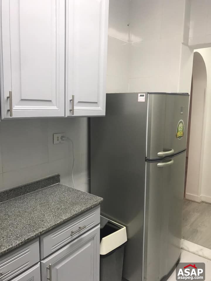 Flats for Rent in Zamalek Flats for Rent in Zamalek