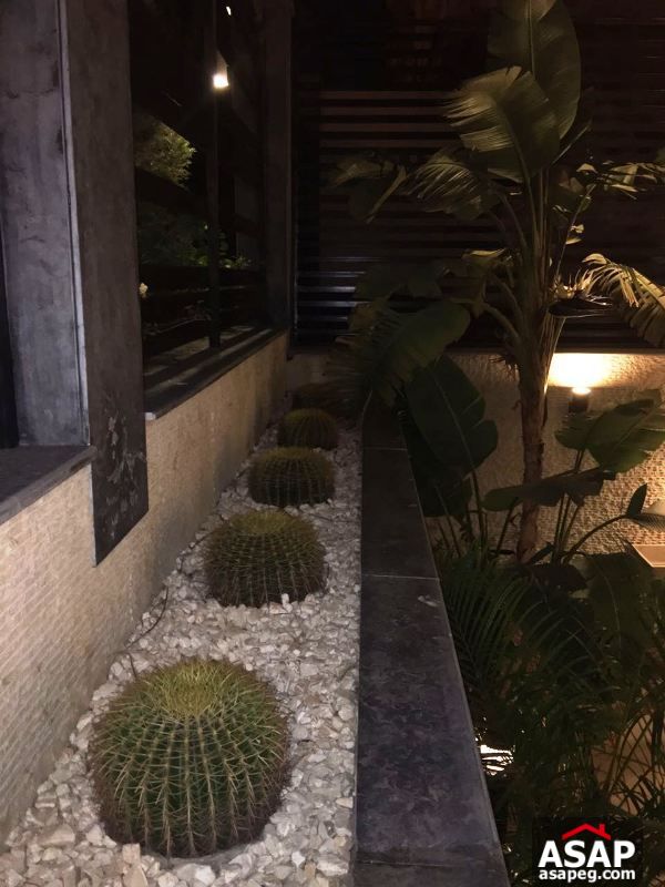 Roof for Rent in West Arabella