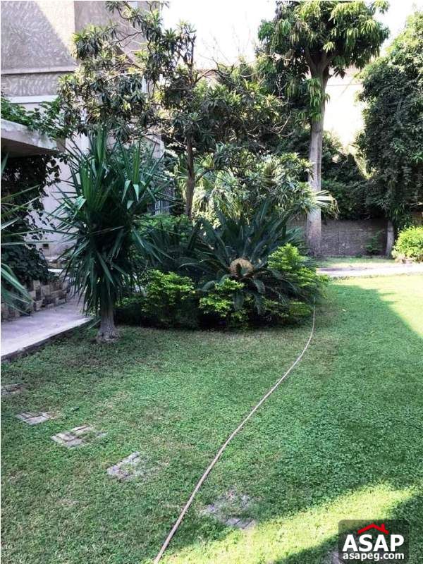 Furnished Villa with Swimming Pool in Maadi for Rent Furnished Villa with Swimming Pool in Maadi for Rent