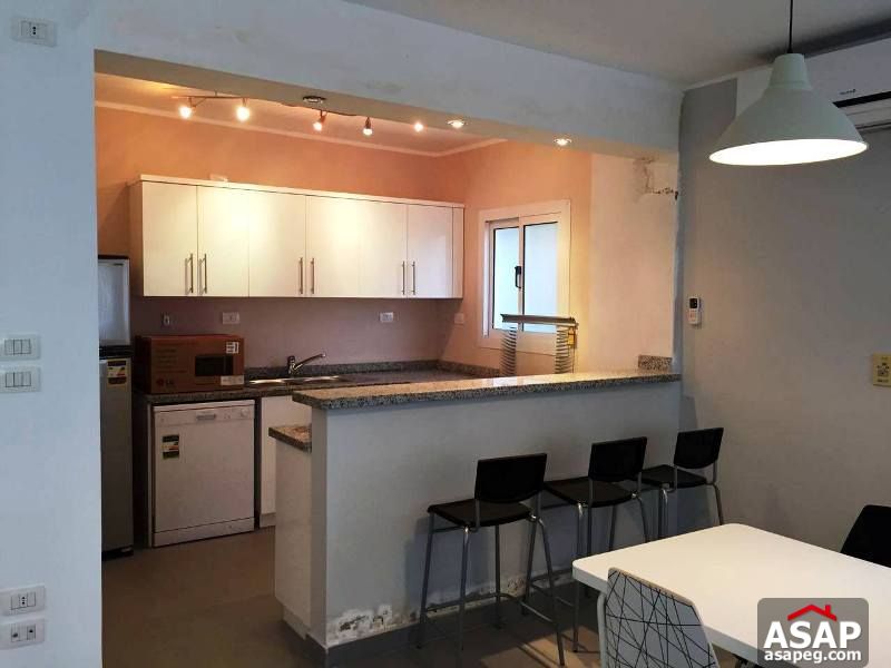 Furnished Apartment with Nile View for Rent in Maadi Furnished Apartment with Nile View for Rent in Maadi