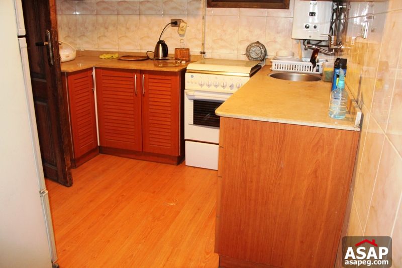 Apartment for rent in zamalek