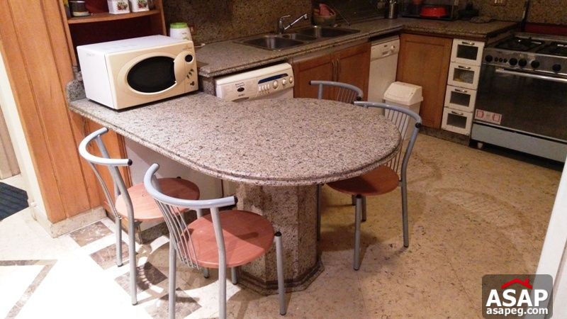 Apartment for rent in zamalek Apartment for rent in zamalek