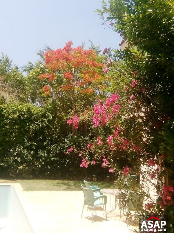 Villa with Garden for Rent in Rehab