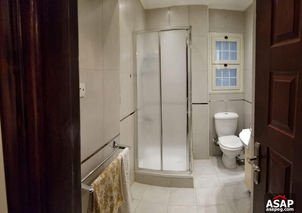 Apartment for Rent in Zamalek - Cairo