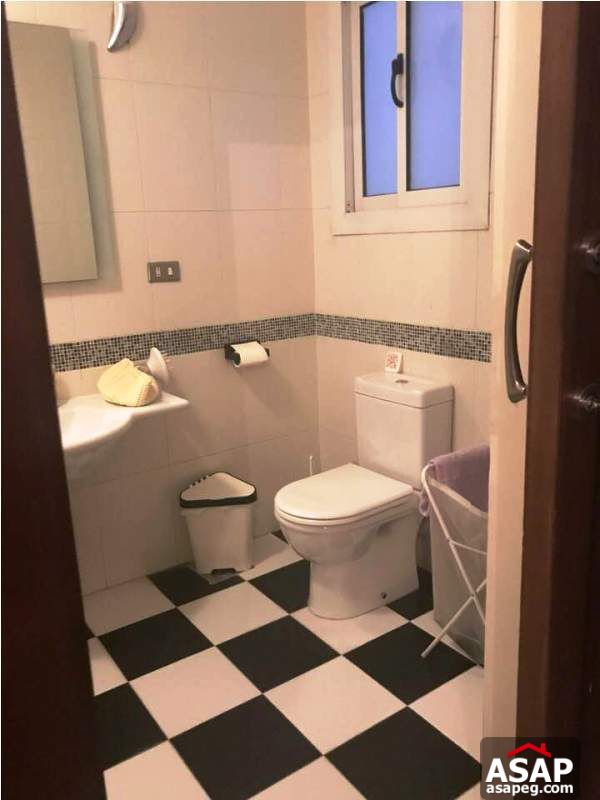 Nice Property in Zamalek for Rent