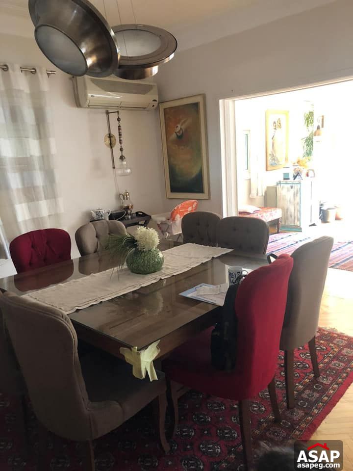 Apartment for Rent in Zamalek Apartment for Rent in Zamalek