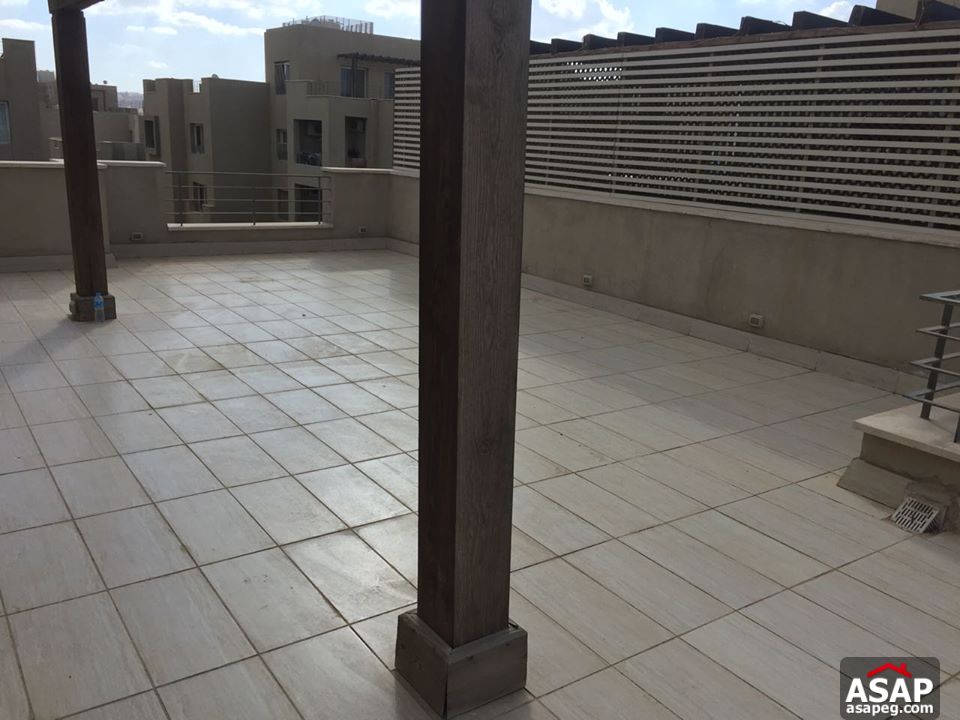 Penthouse for Rent in the Village Penthouse for Rent in the Village