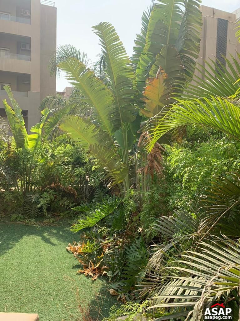 Ground Floor for Rent in The Village Palm Hills