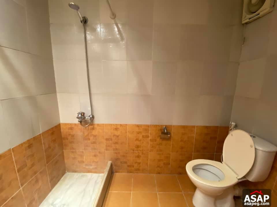 Apartment with Nile View for Rent in Zamalek Apartment with Nile View for Rent in Zamalek