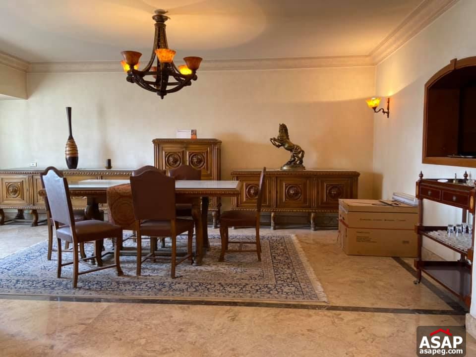 Apartment for Rent in Dokki Apartment for Rent in Dokki