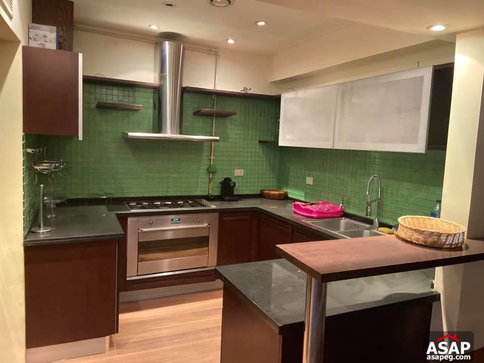 Furnished Flat with Nile View in Zamalek Furnished Flat with Nile View in Zamalek