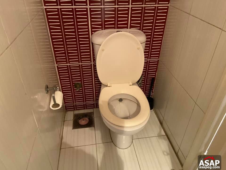 Apartment for Rent in Zamalek Apartment for Rent in Zamalek