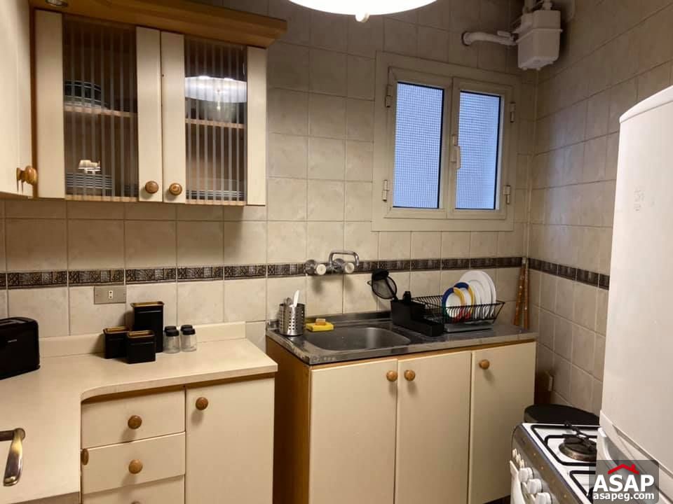 Apartment for Rent in Zamalek Apartment for Rent in Zamalek