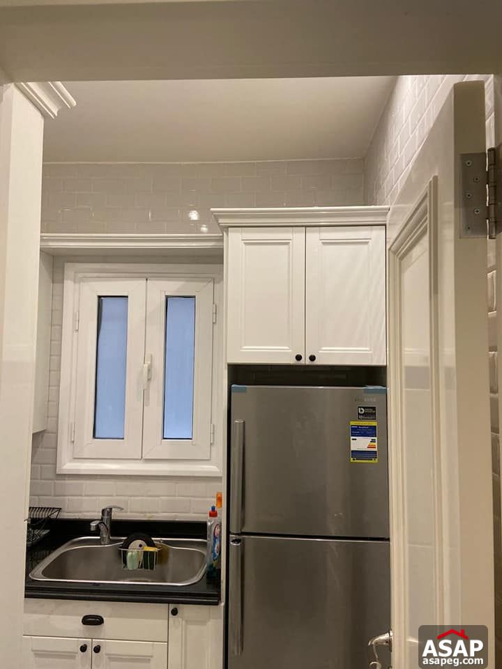 Apartment for Rent in Zamalek Apartment for Rent in Zamalek