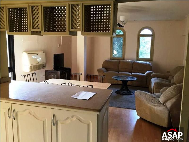 Amazing Furnished Apartment in Maadi for Rent