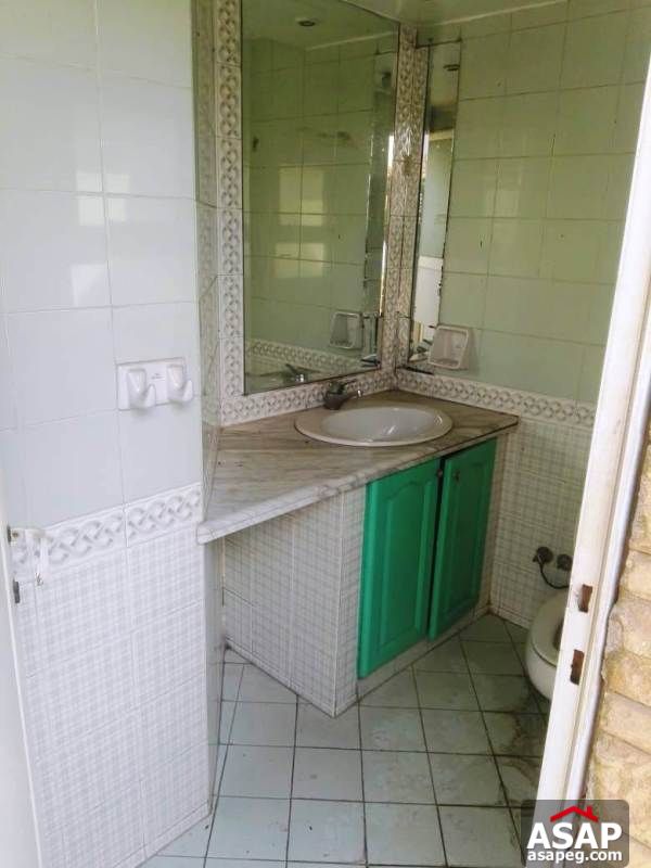 Apartment with Big Roof for Rent in Zamalek Apartment with Big Roof for Rent in Zamalek