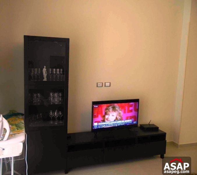 Furnished Apartment for Rent in Katameya Plaza Furnished Apartment for Rent in Katameya Plaza