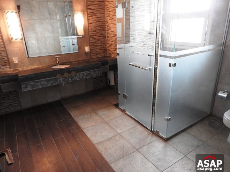 Modern Penthouse for Rent in Zamalek Modern Penthouse for Rent in Zamalek