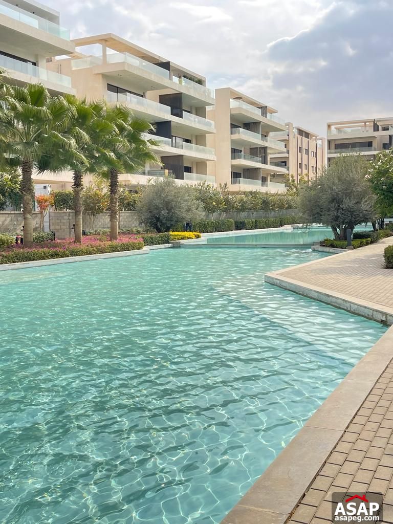 Semi Furnished Apartment for Rent in Lake View Residence Semi Furnished Apartment for Rent in Lake View Residence