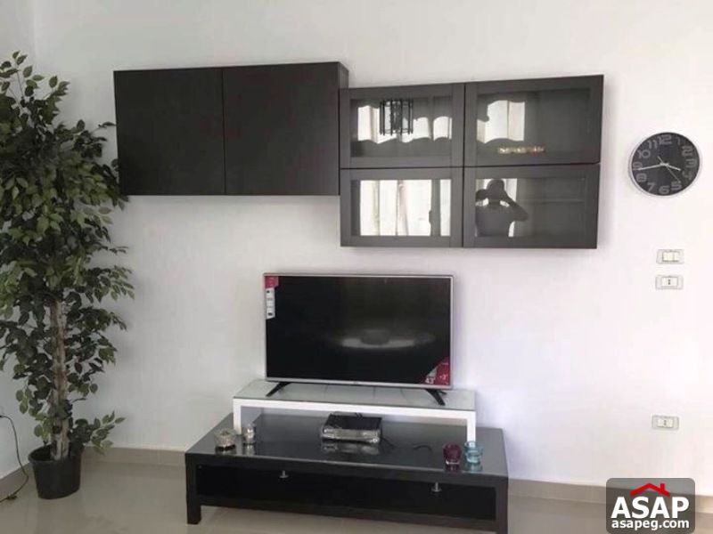 apartment for rent in zamalek apartment for rent in zamalek