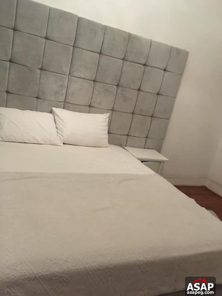 Apartment for Rent in Zamalek - Cairo Apartment for Rent in Zamalek - Cairo