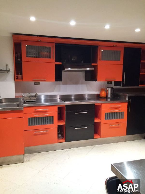 Apartment for Rent in Zamalek Apartment for Rent in Zamalek