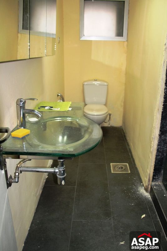 Apartment for rent in zamalek Apartment for rent in zamalek