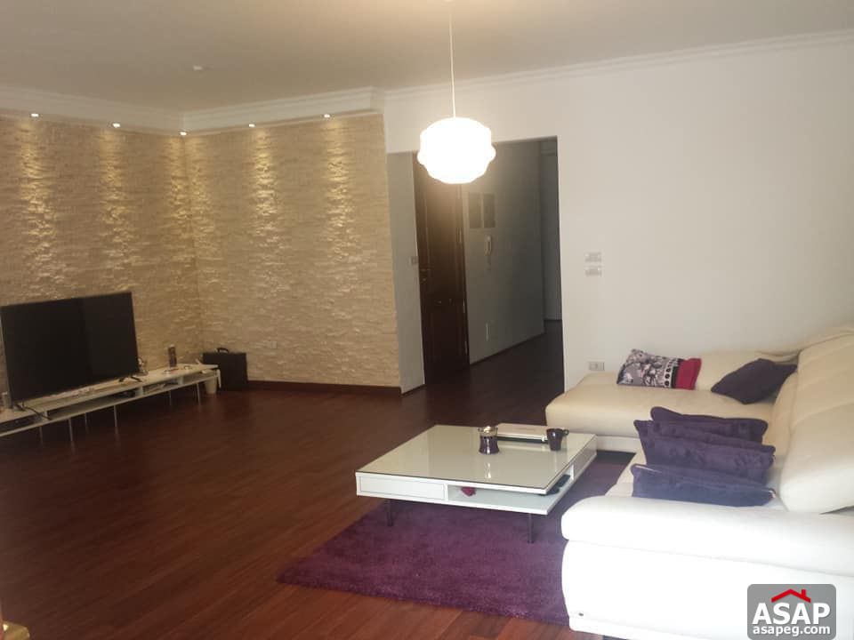 Apartment for Rent in Maadi Degla Apartment for Rent in Maadi Degla