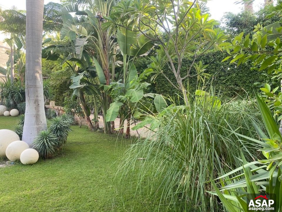 Villa for Rent in Belle Ville Compound Villa for Rent in Belle Ville Compound