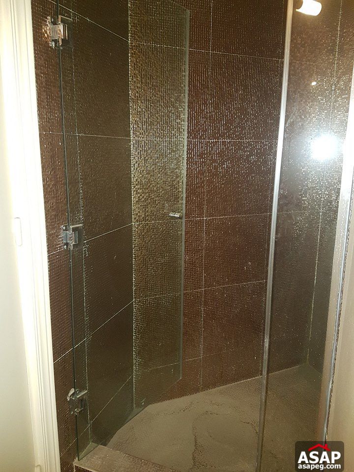 Apartments for Rent in Zamalek