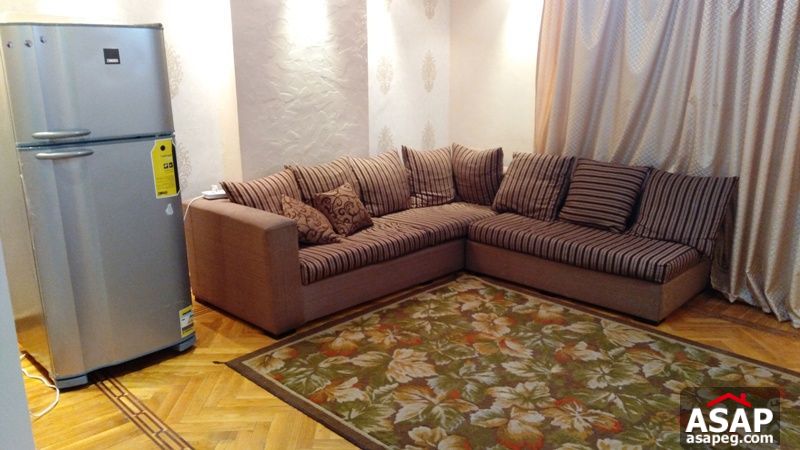 Modern Apartment with Big Reception in Zamalek Modern Apartment with Big Reception in Zamalek