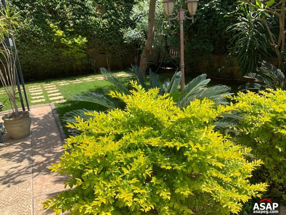 Twin House for Rent in Maadi Degla