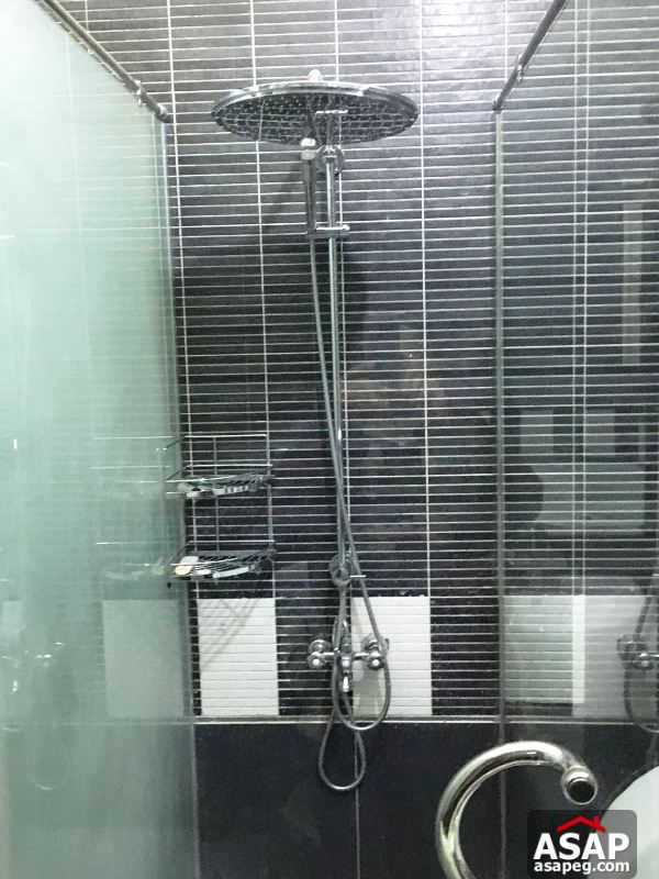 Duplex with Big Garden in Lake View for Rent Duplex with Big Garden in Lake View for Rent