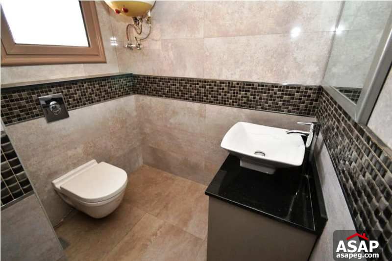 Apartment with Nile View for Rent in Zamalek Apartment with Nile View for Rent in Zamalek