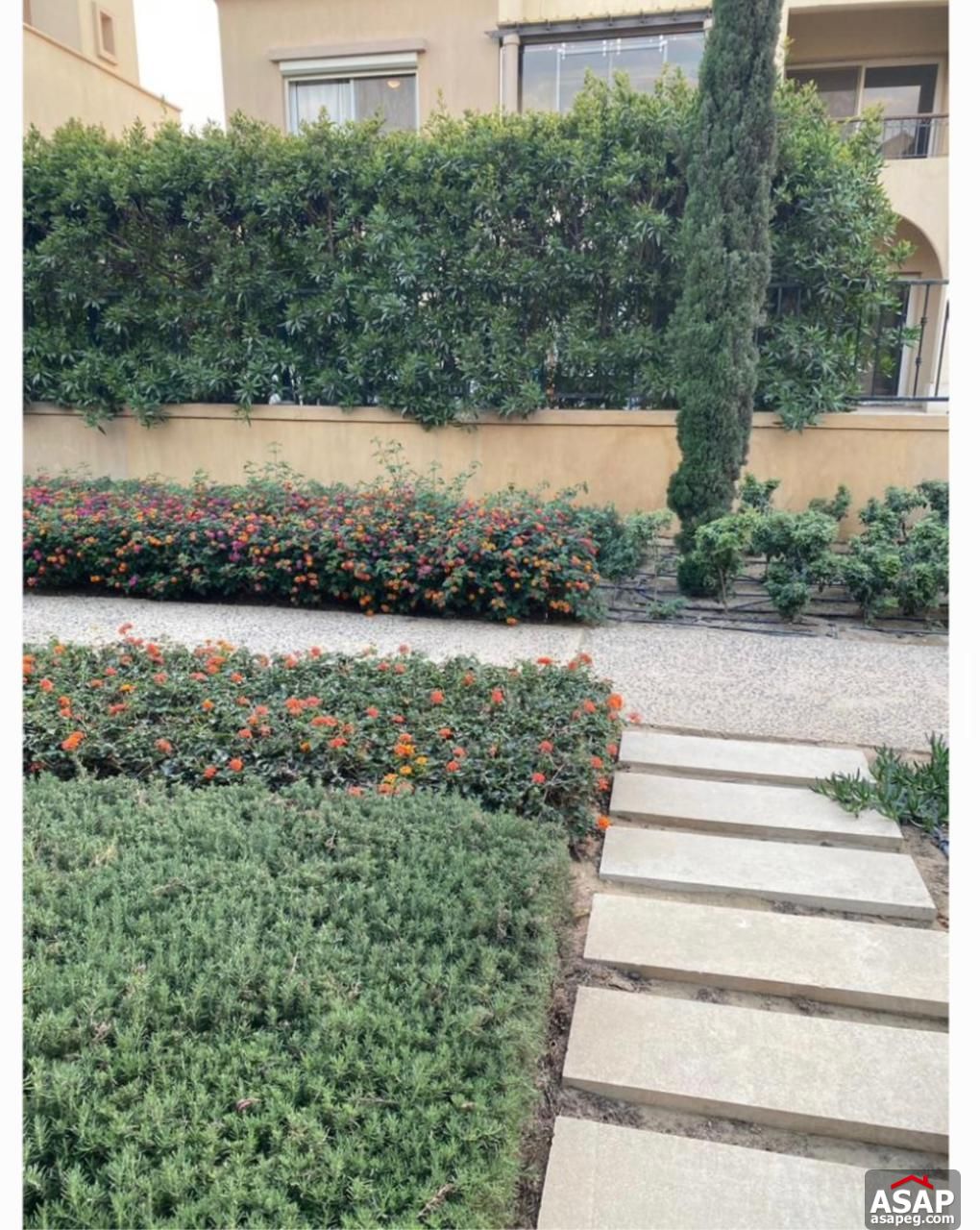 Twin House for Rent in Mivida Compound