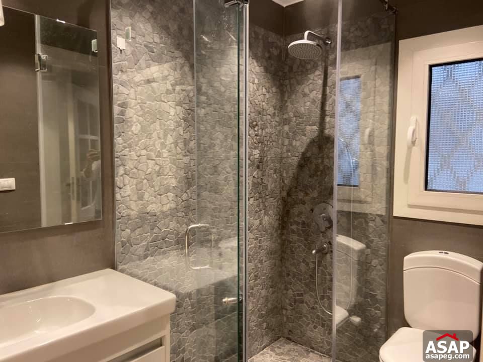 Apartment for Rent in Zamalek Apartment for Rent in Zamalek