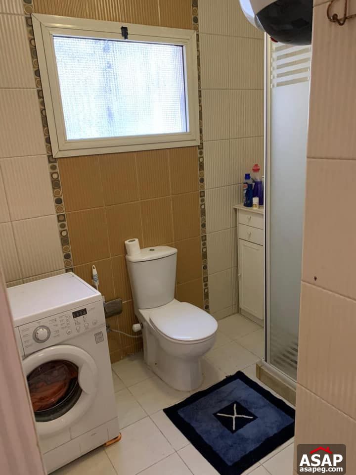 Apartments for Rent in Zamalek Apartments for Rent in Zamalek