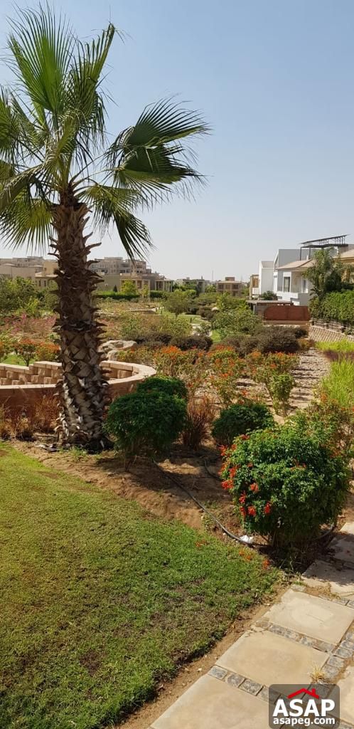 Stand Alone with Pool for Rent in Allegria Compound Stand Alone with Pool for Rent in Allegria Compound