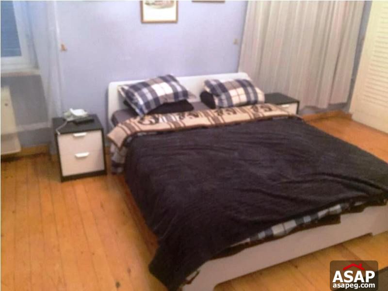 Nice Apartment in Zamalek for Rent Nice Apartment in Zamalek for Rent