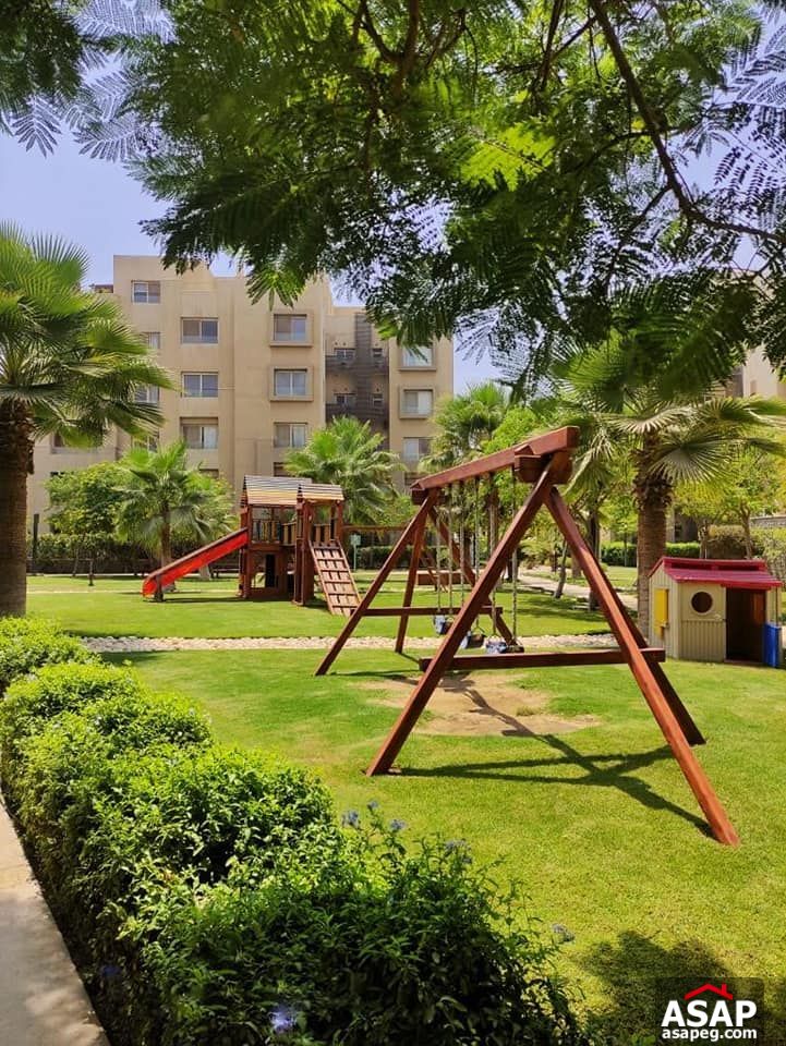 Studio for Rent in The Village Palm Hills Studio for Rent in The Village Palm Hills