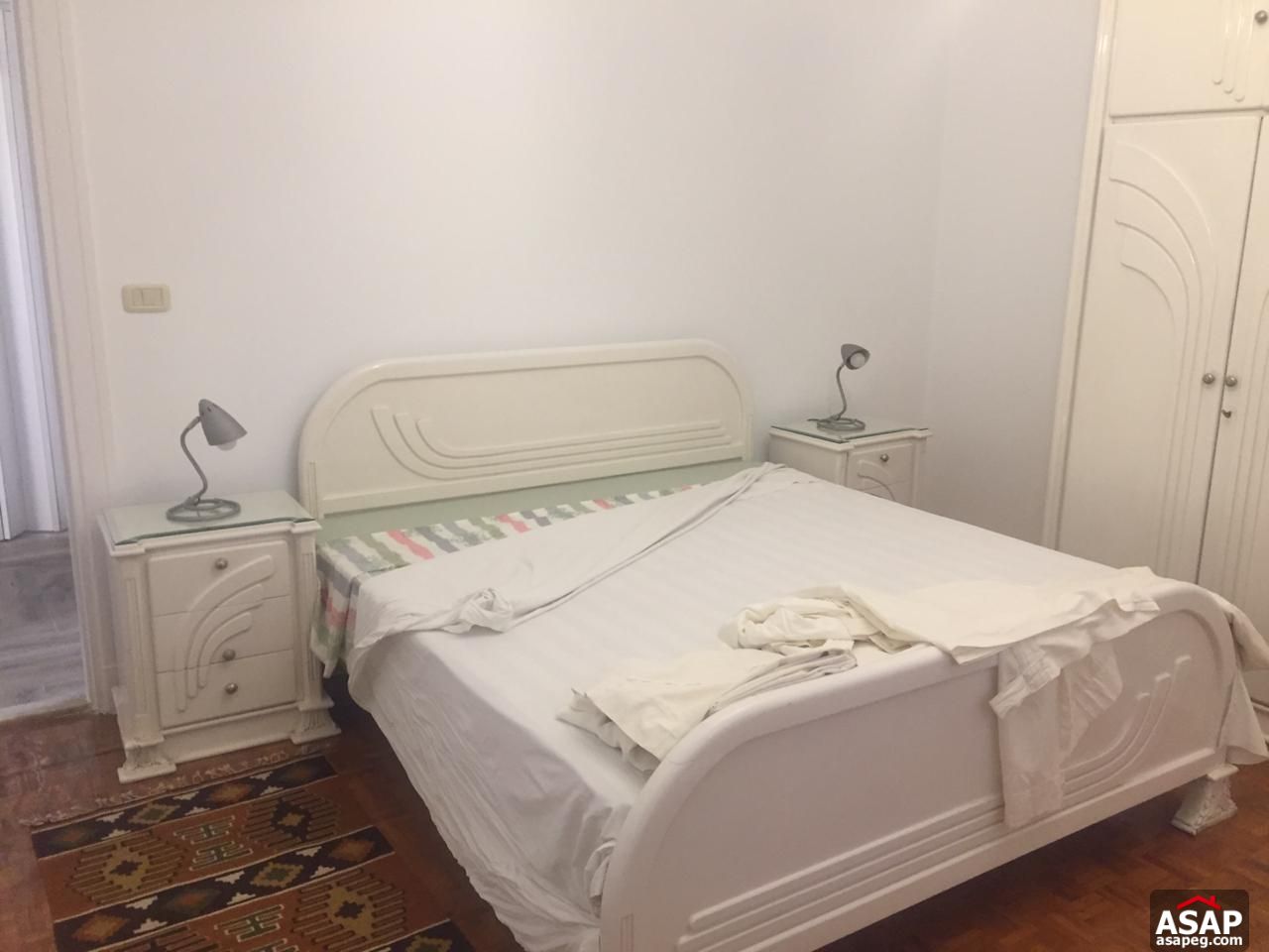 Flat with Nile View in Zamalek